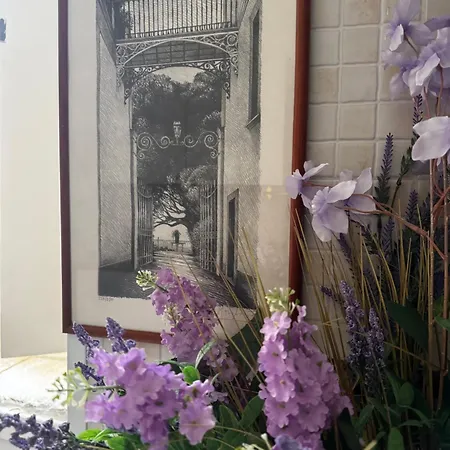 La Meta Bed & Breakfast Benevento